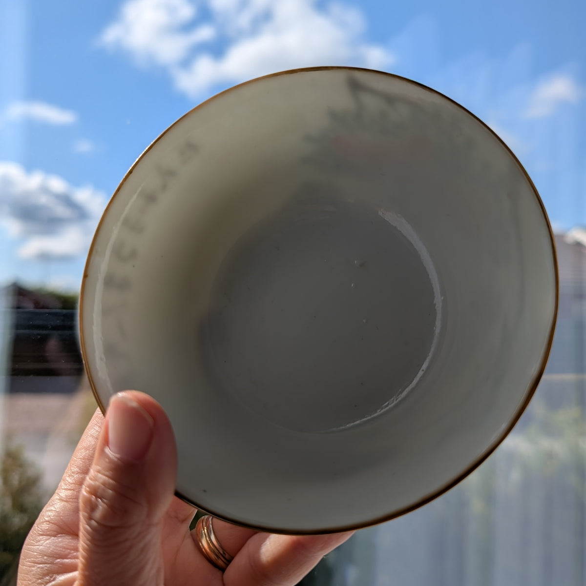 Chinese antique bowl decorated with a bird and calligraphy, 19th century #2993