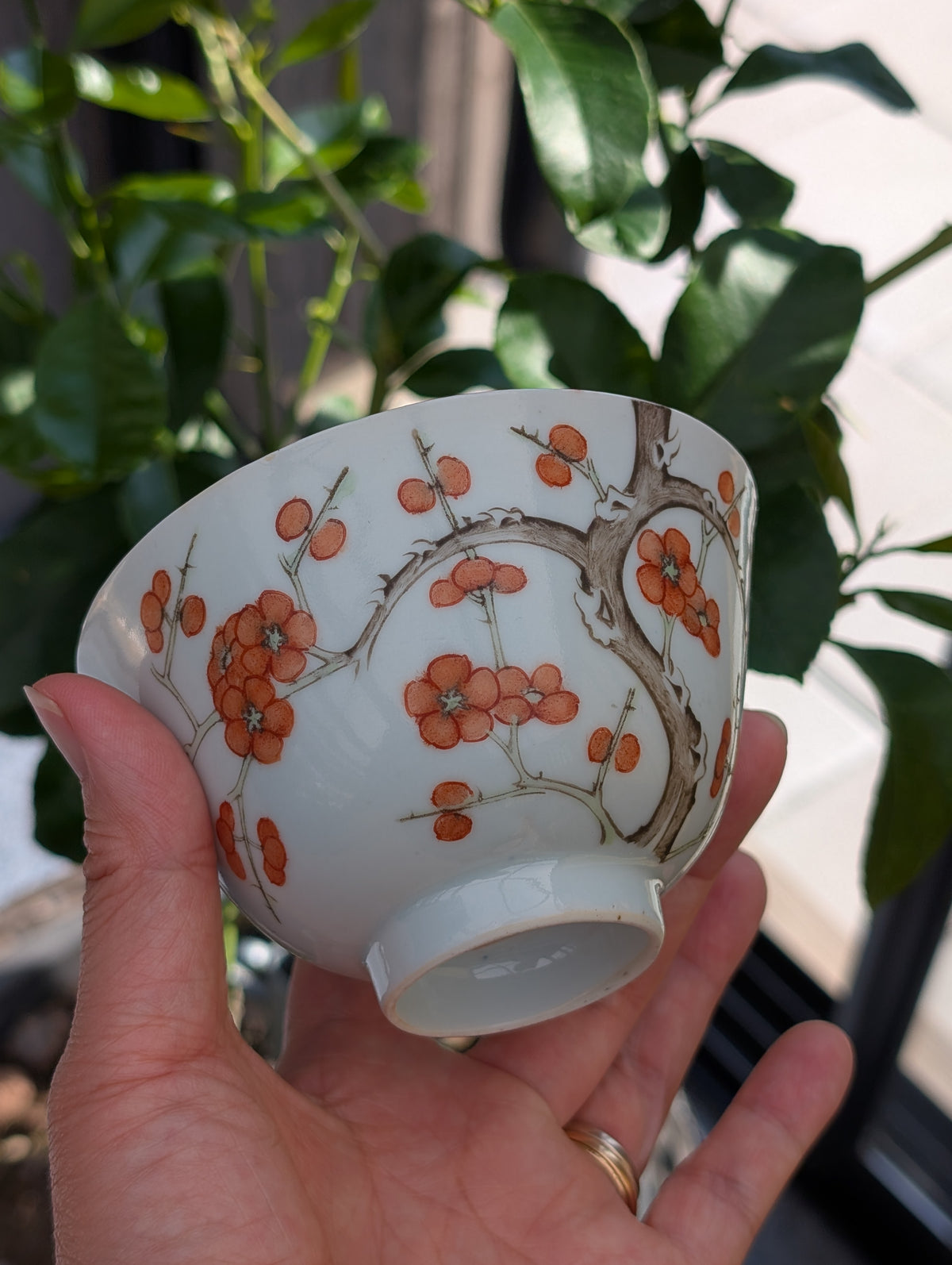Antique Chinese porcelain cup with cherry blossom, 19th c #3029